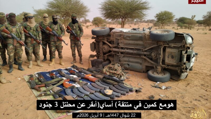 Jnim claims deadly double attack in western niger