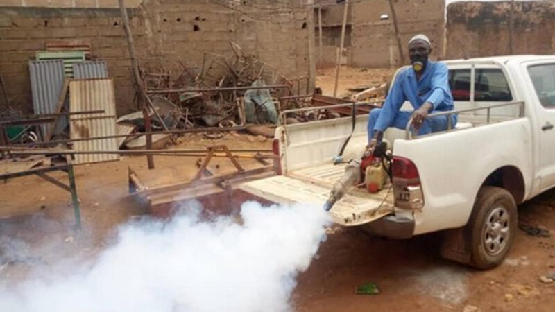 Dengue in Mali: rising cases and urgent prevention measures