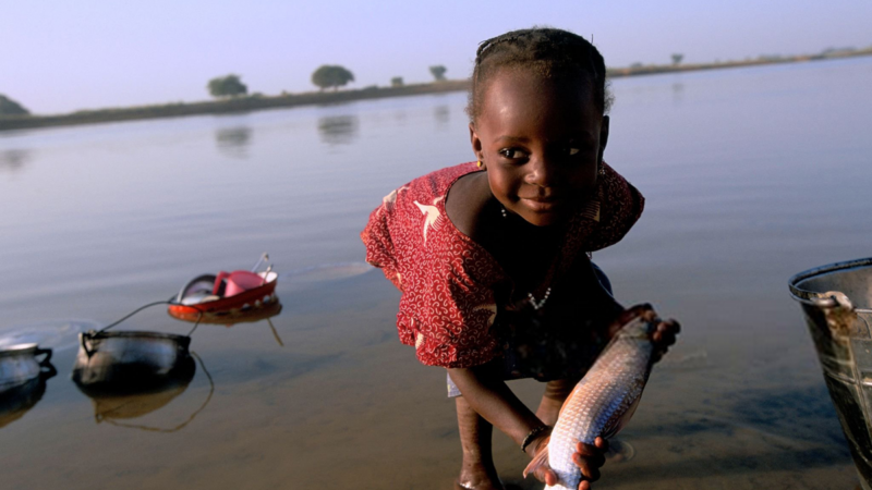 Niger becomes first african country to eliminate river blindness