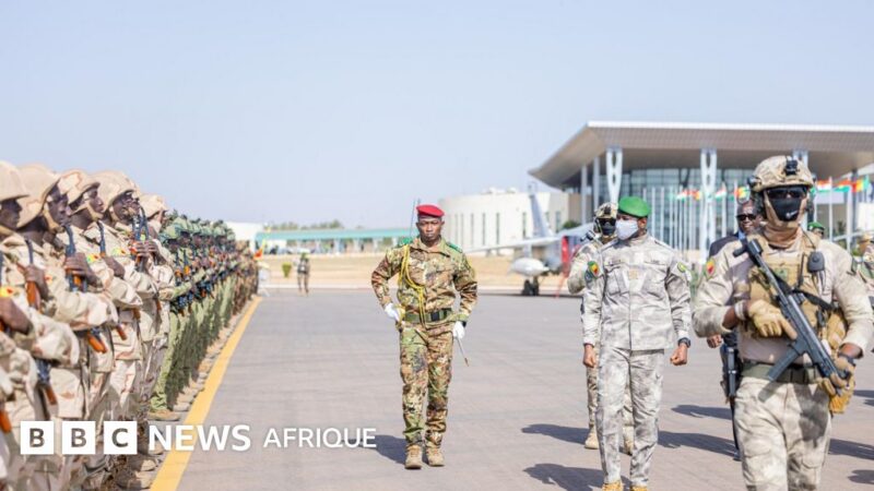 Unified force of the AES: strategies for success in Sahel security