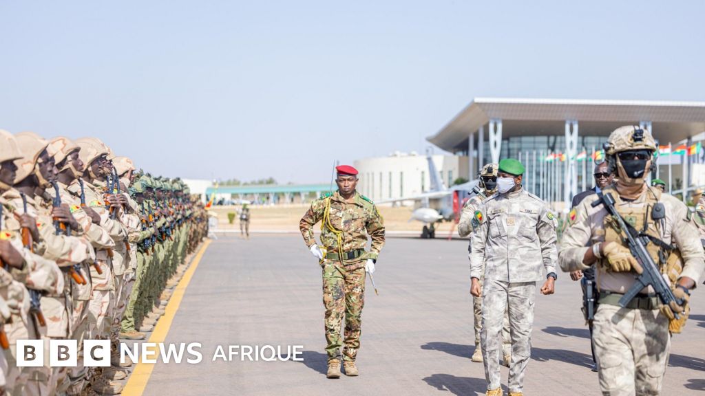 Unified force of the AES: strategies for success in Sahel security