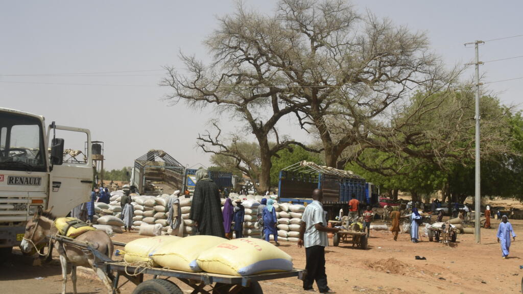 Niger: surge in displaced persons in western town amid armed group threats