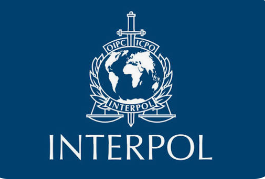 Interpol Benin arrests transnational crime fugitives