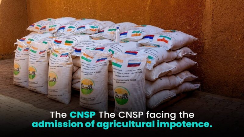Niger’s agricultural boost: Russian fertilizer aid fuels debate on food sovereignty