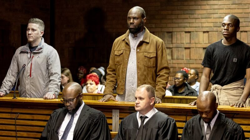 The curious alliances of kémi séba in south africa