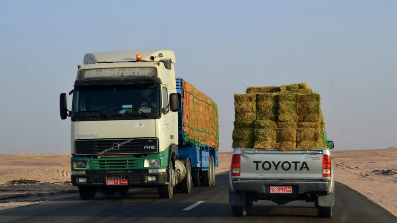 Chad’s drive to enhance Cameroon-Chad-car transit corridors
