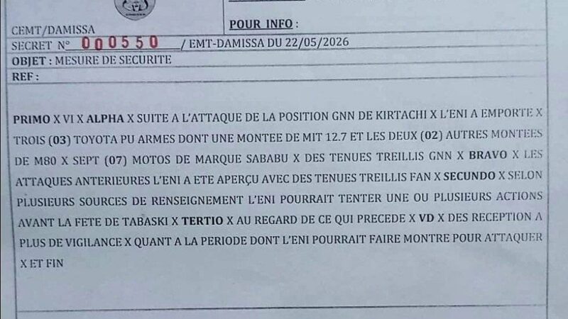 Niger security crisis: JNIM seizes heavy weaponry in Tillabéri ambush