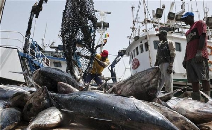 Sénégal boosts local fish supply with four new demersal fishing licenses