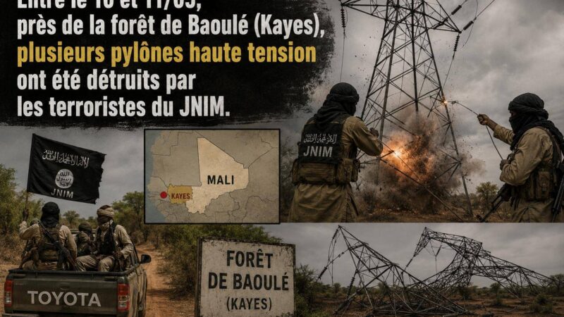 Mali faces blackout after JNIM attack on power grid in Kayes