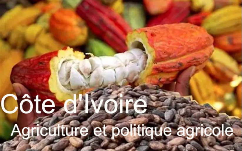 Côte d’Ivoire’s agriculture and policy shaping west africa’s food future