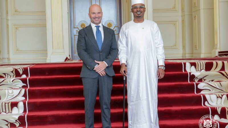 EU ambassador presents credentials to chadian president