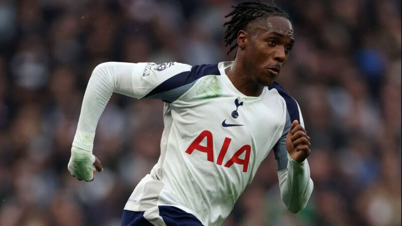 Tottenham’s fight for survival hinges on final Premier League showdown