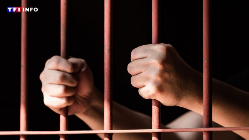 French national detained in Senegal amid intensified anti-lgbt+ crackdown