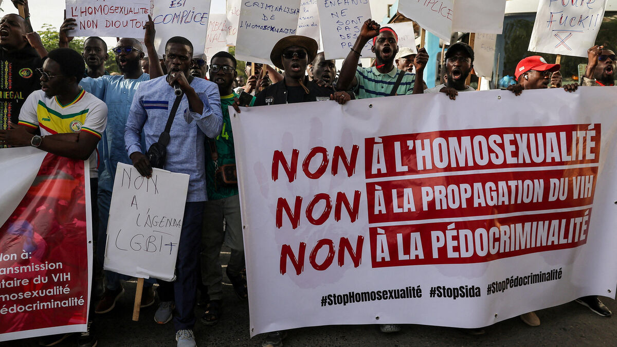 French national detained in Senegal over homosexuality amid rising lgbt+ crackdown