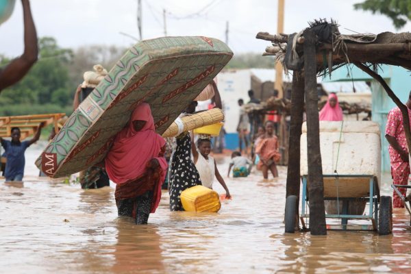 Niger warns of 2026 rainy season risks for livestock and communities