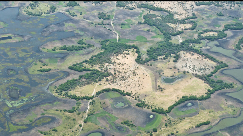Chad government denies civilian strike allegations in lake Chad operations