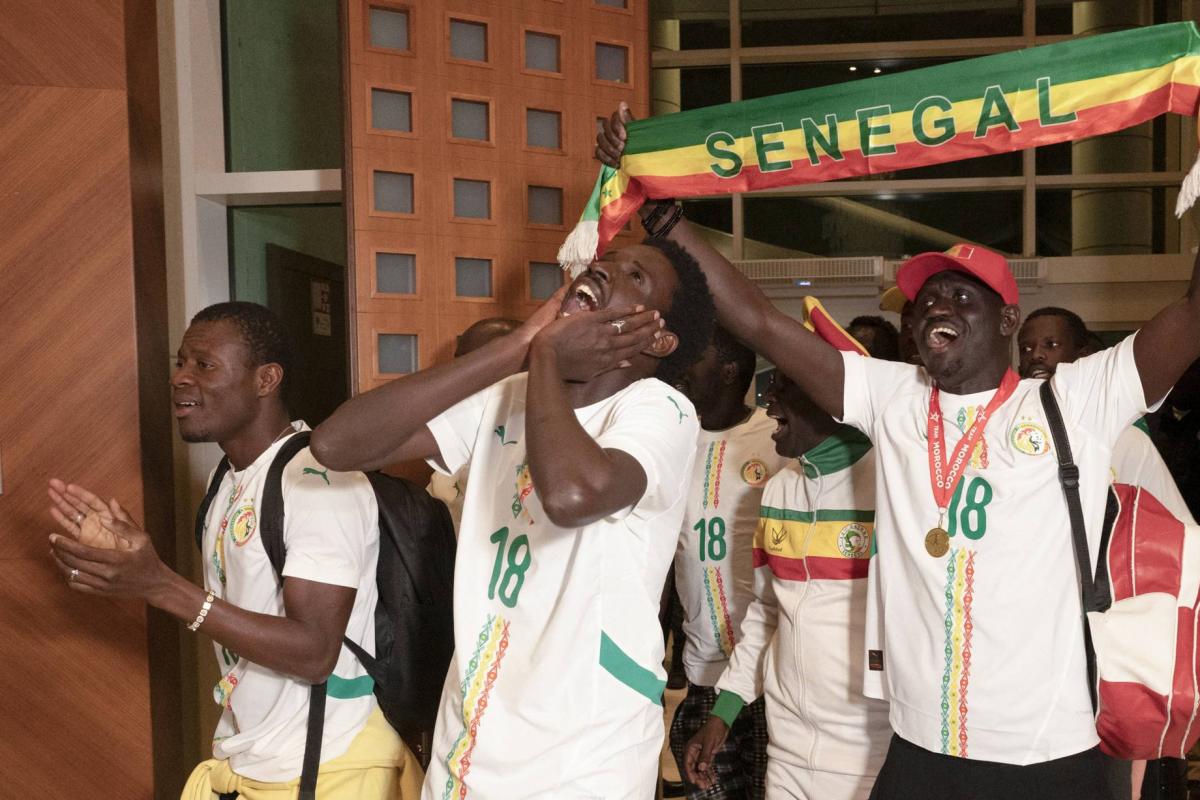 Senegalese fans pardoned by Morocco’s king return home after can final