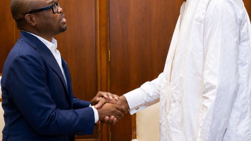 Diplomatic talks in Cotonou: Bénin and Mali strengthen bilateral bonds