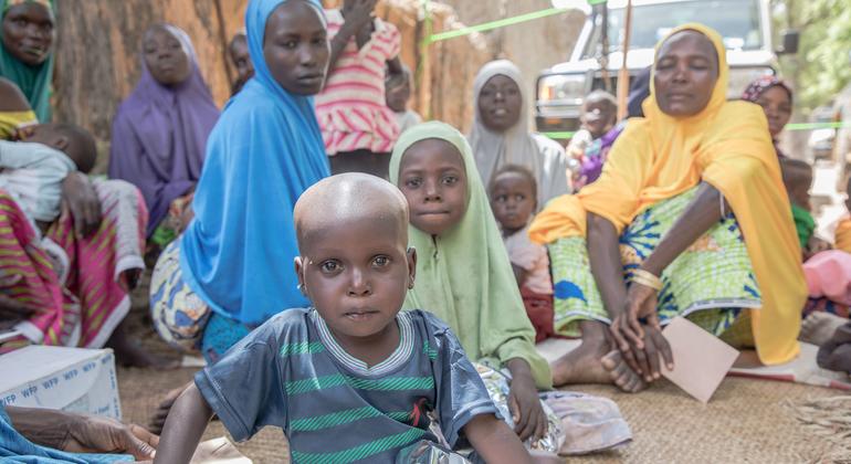 Unhcr urges global action for overlooked Sahel humanitarian crisis
