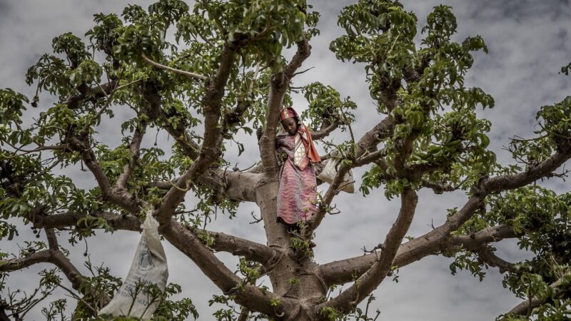 Niger’s economic crisis: a generation’s struggle for survival
