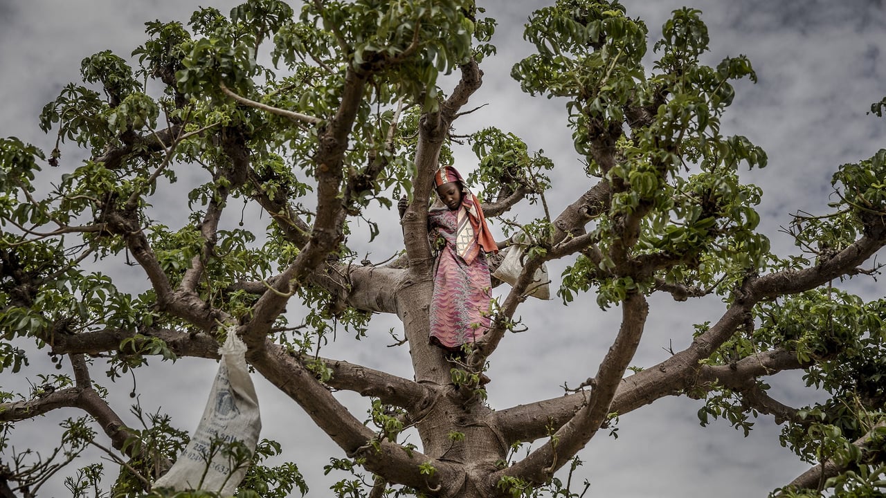 Niger’s economic crisis: a generation’s struggle for survival