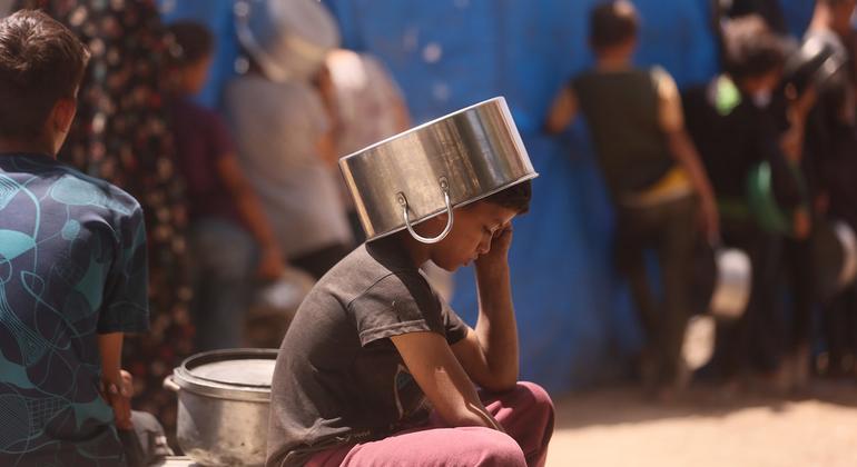 Un flags gaza, haiti, Sudan, south Sudan, and Mali for urgent food insecurity alert