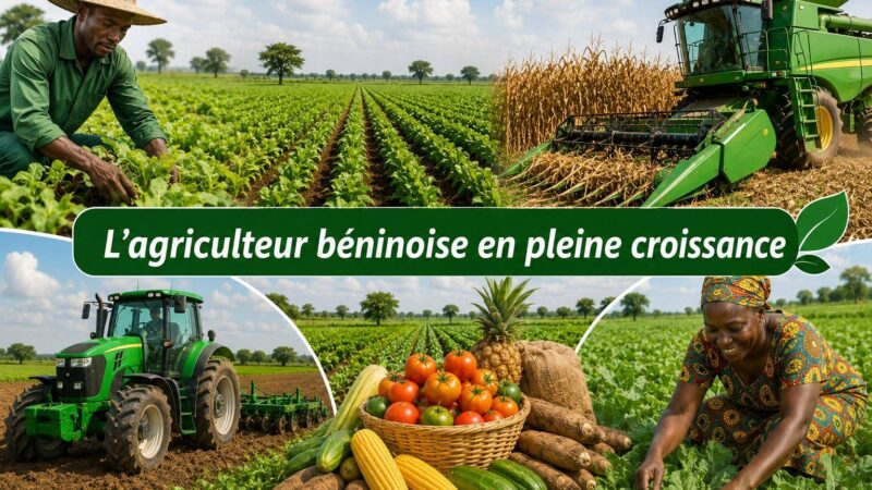 Bénin’s agricultural revolution: transforming the national economy since 2016