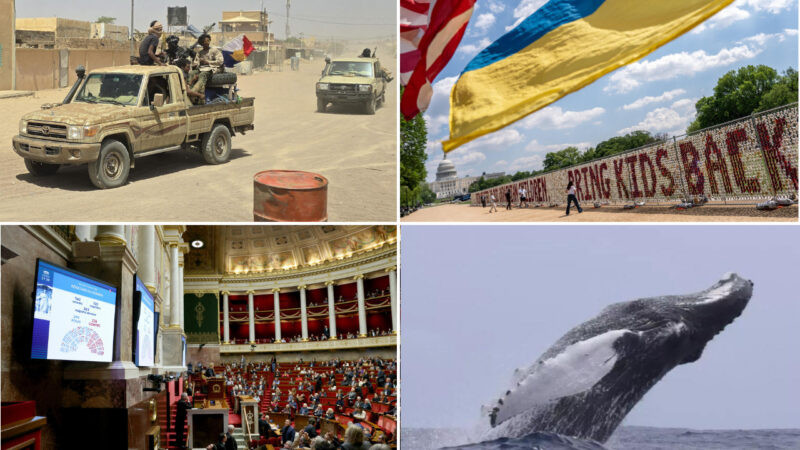 Mali’s shifting landscape: assessing the jnim and fla alliance