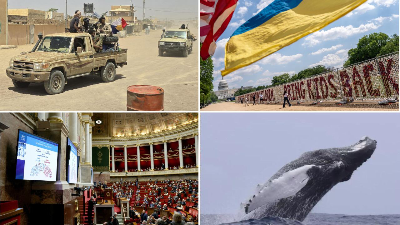 Mali’s shifting landscape: assessing the jnim and fla alliance