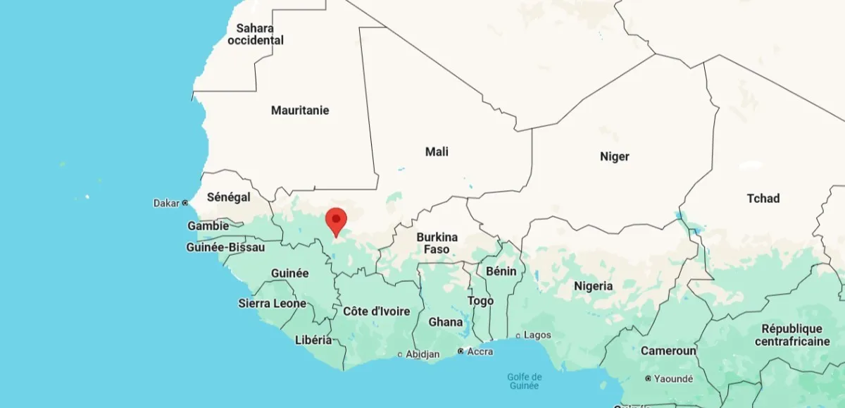 Protesters in Bamako rally against political party dissolution threats