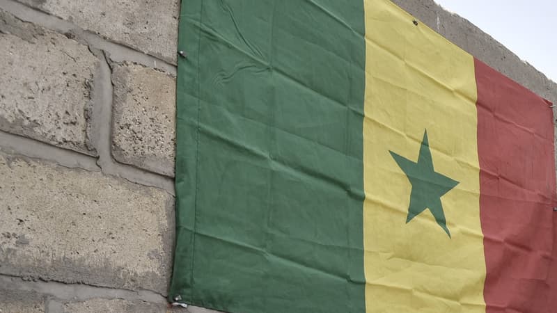 Le drapeau du Sénégal. (Photo d'illustration)