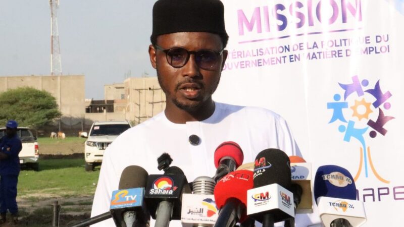 Chad empowering 200 youth with green careers in N’Djamena