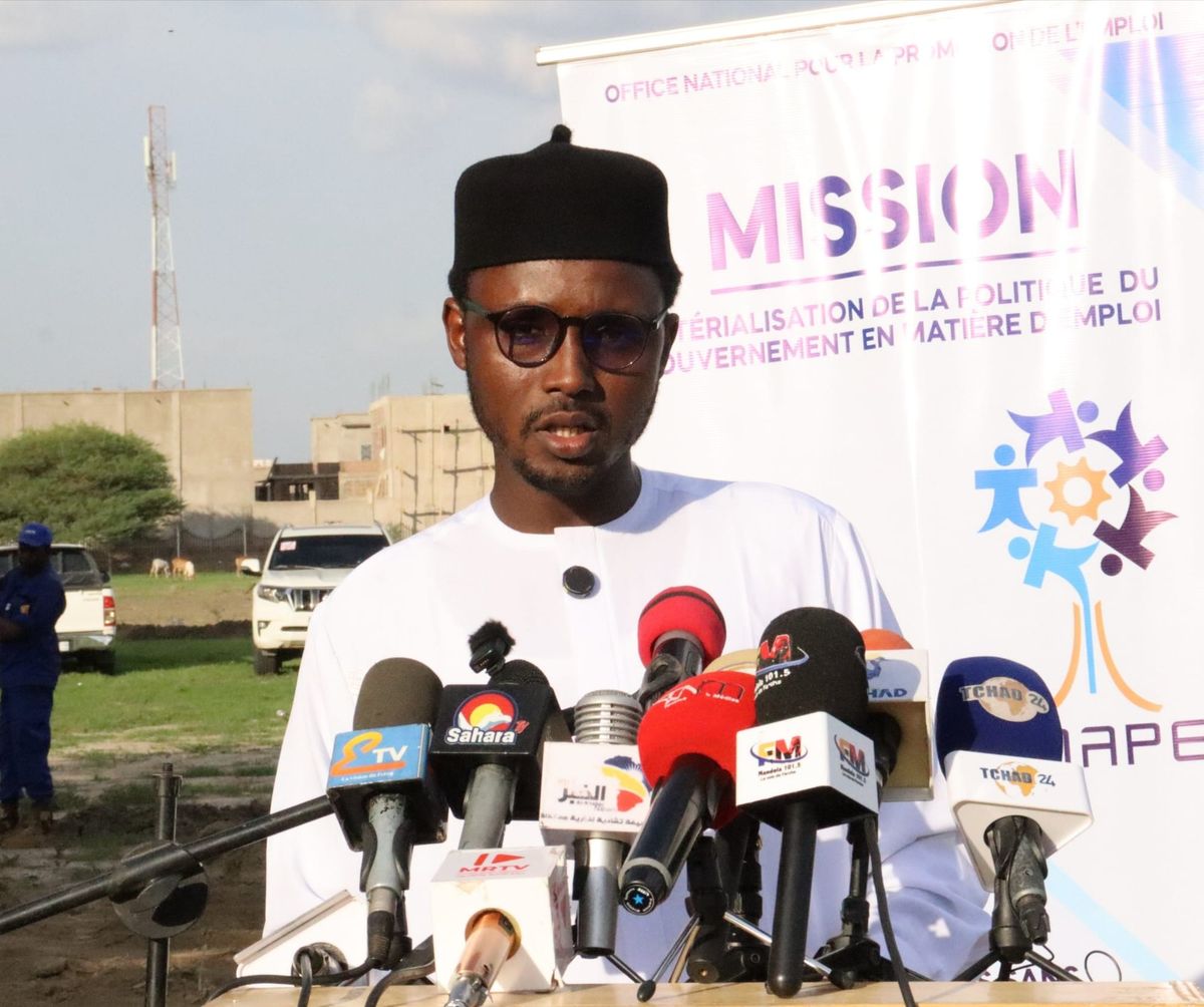 Chad empowering 200 youth with green careers in N’Djamena