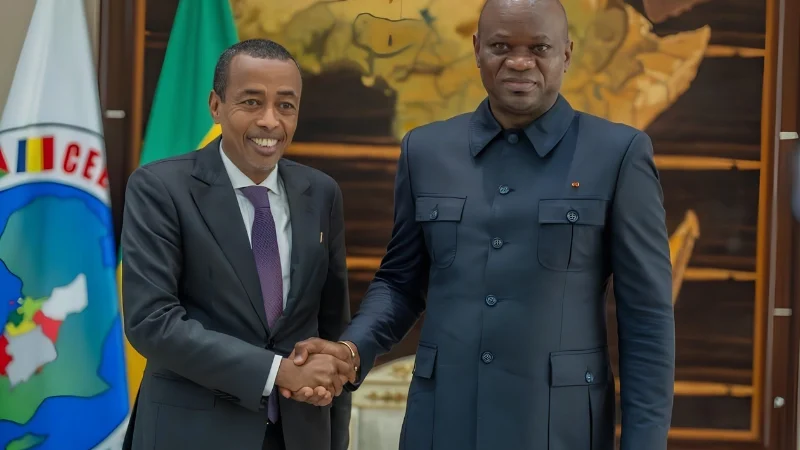 Transition in Madagascar: Learning from the Gabonese Experience