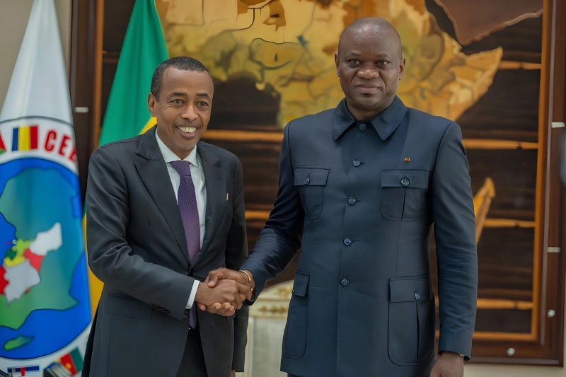 Transition in Madagascar: Learning from the Gabonese Experience