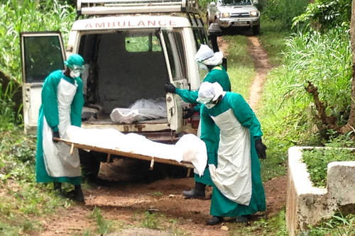 Drc ebola outbreak surpasses 500 fatalities amidst ongoing spread