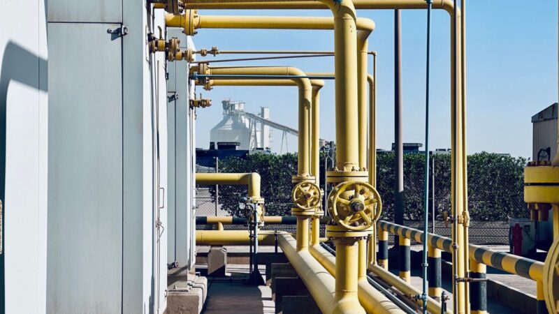 Chad-Cameroon pipeline boosts Yaoundé’s revenues by 222 billion FCFA in six years