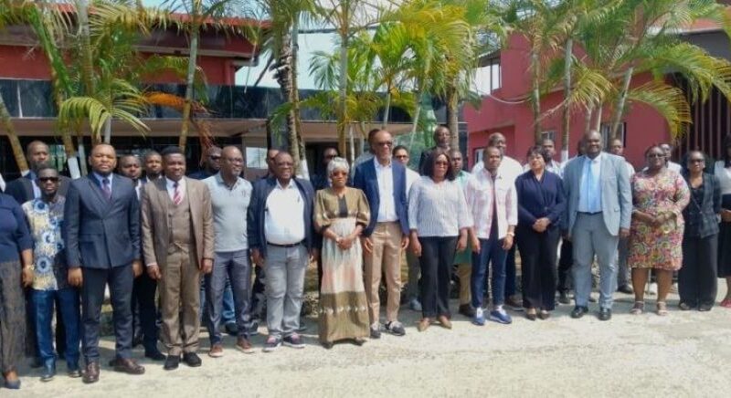 Gabon embarks on an ambitious digital revolution for public services