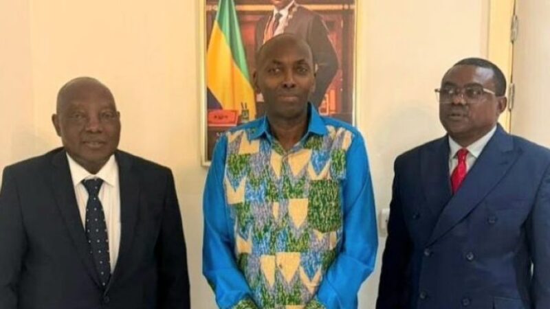 Gabon steps up fight against illicit financial flows