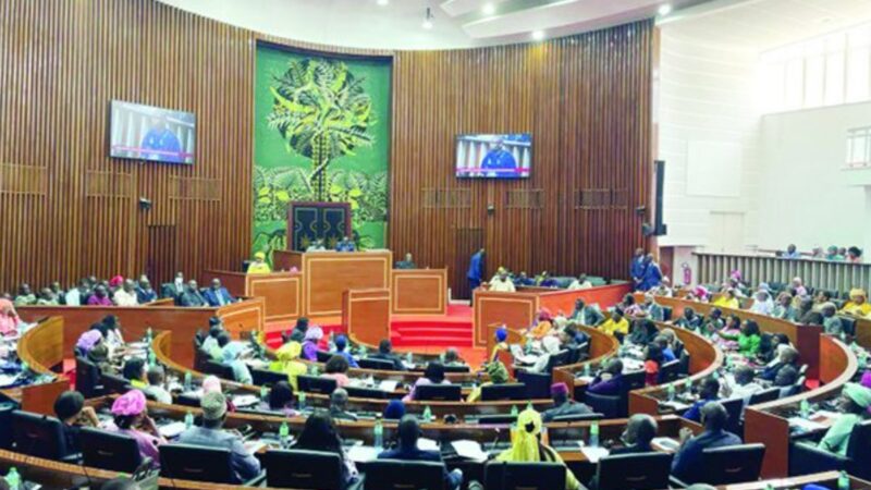 Senegal assembly reacts to constitutional council ruling