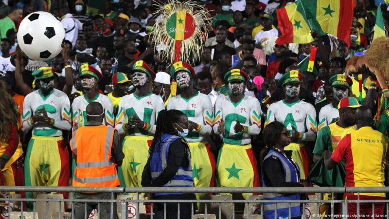 Senegal’s football federation faces scrutiny after world cup disappointment