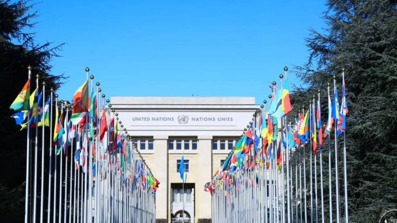 Un challenges financial constraints impact drc’s un human rights probe