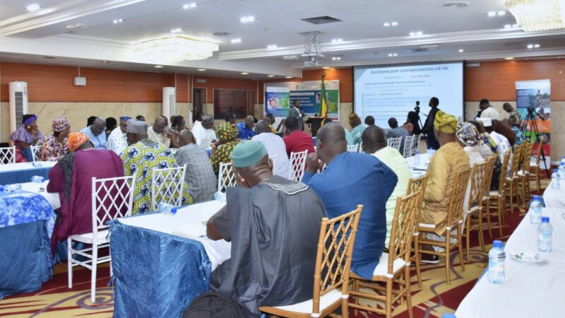 Benin’s bold plan to revive agriculture and soil health with food systems