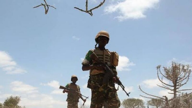 Mali civilians killed in alleged Africa corps airstrikes