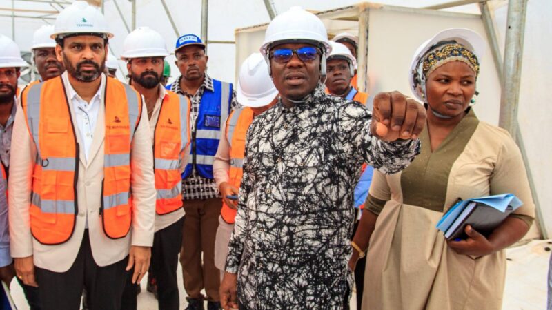 Benin’s agricultural leap: how tech and logistics boost fruit exports