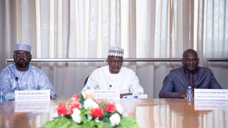 Tchad Prévoit une Croissance Economique de 5,3% en 2026, selon le CNEF