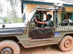 CENTRAFRIQUE: Centrafricains Refuse to Pay Timber Harvesting Taxes, Ministry of Forestry Reminds Them