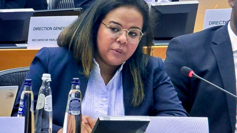 UN security council meeting: DRC advocates responsible governance of natural resources for peace
