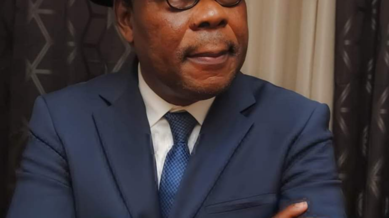 Bénin: former president Boni Yayi to join new senate chamber