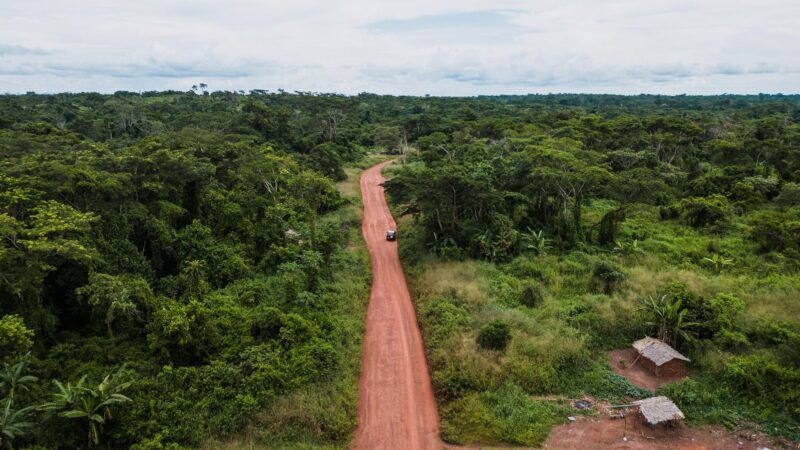 Cameroon faces risk of 292 billion fcfa afdb funding cancellation